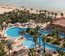 Riadh Palms
