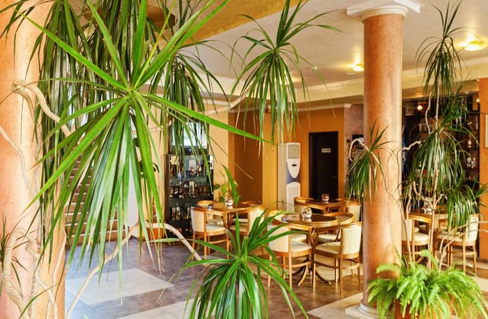 Hotel Forum In Sunny Beach Bulgaria Holidays From 295 Pp - 