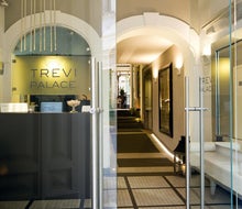 Trevi Palace Luxury Inn