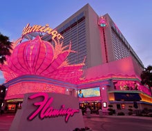 Flamingo Las Vegas