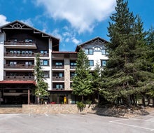 Lion Borovets