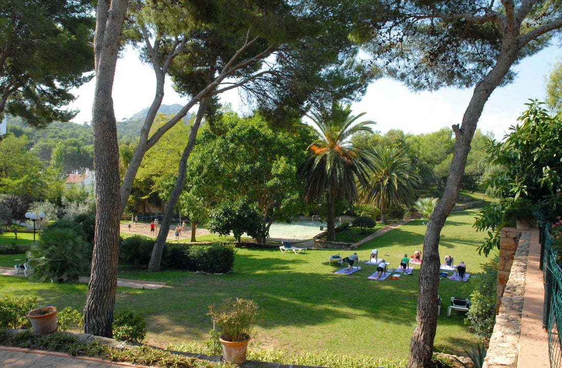 Beach Club Font De Sa Cala In Majorca Cala Ratjada