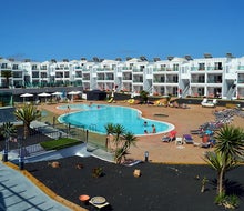 Lanzarote Palm