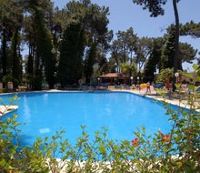 Roc Marbella Park