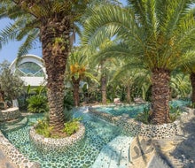 Flamingo Hotel