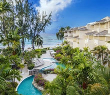 Bougainvillea Barbados