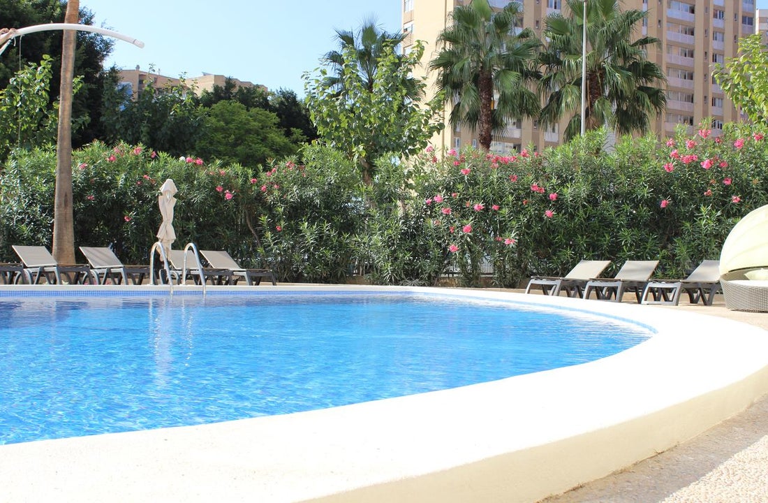 Flamingo Beach Resort Adult Only Ex Marconfort Essence In